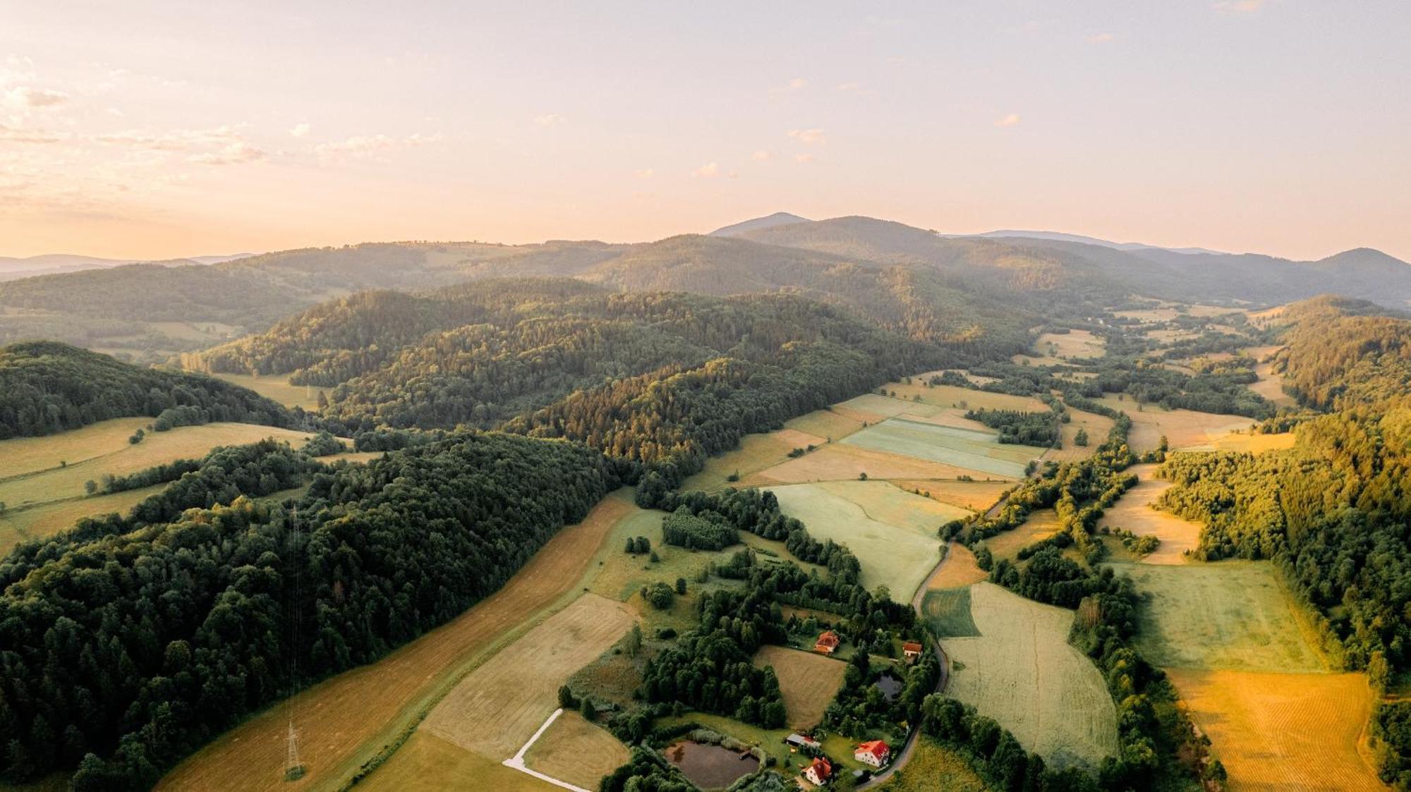 Waliszow * Nowy Waliszow