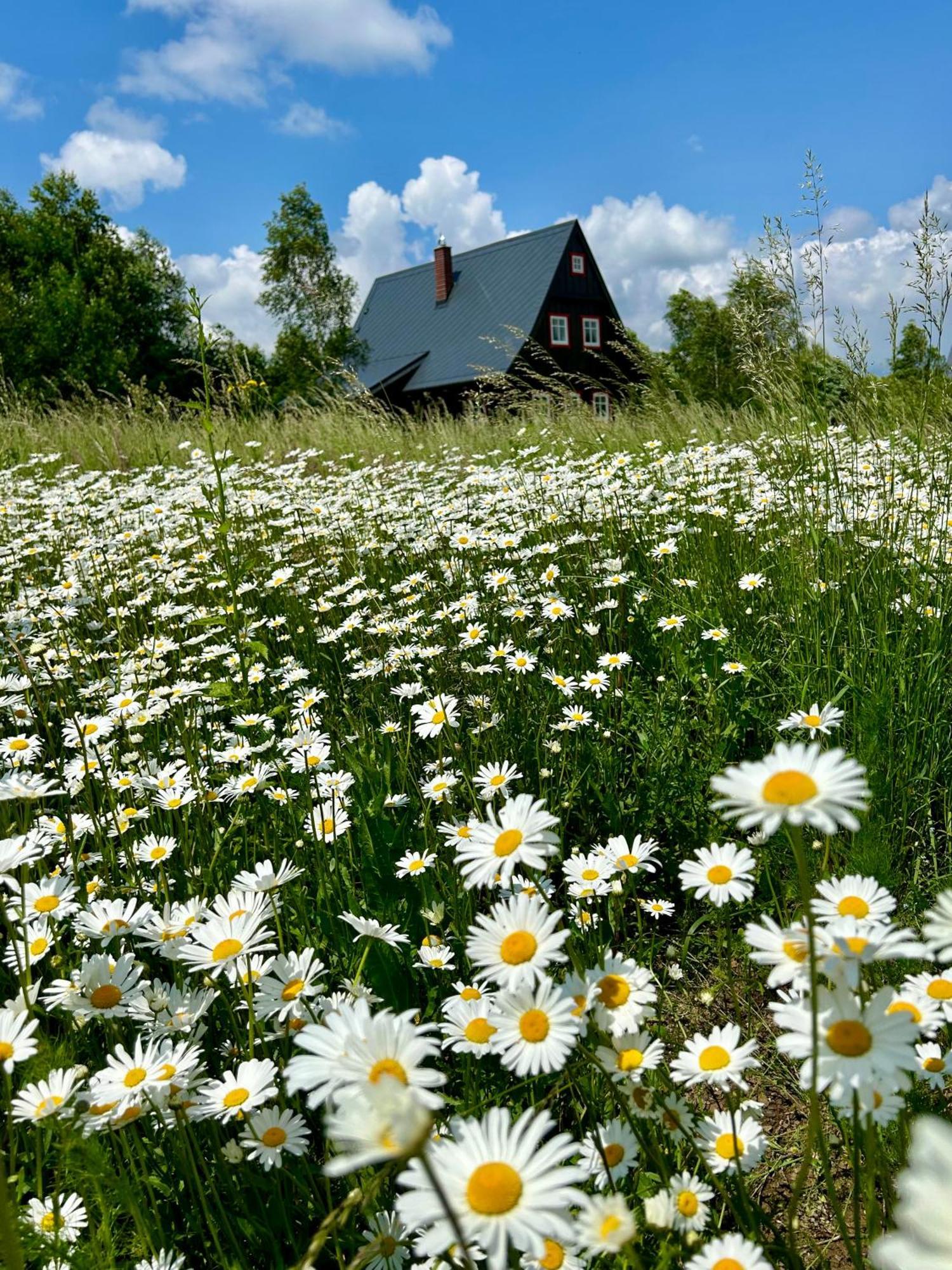 Waliszow
