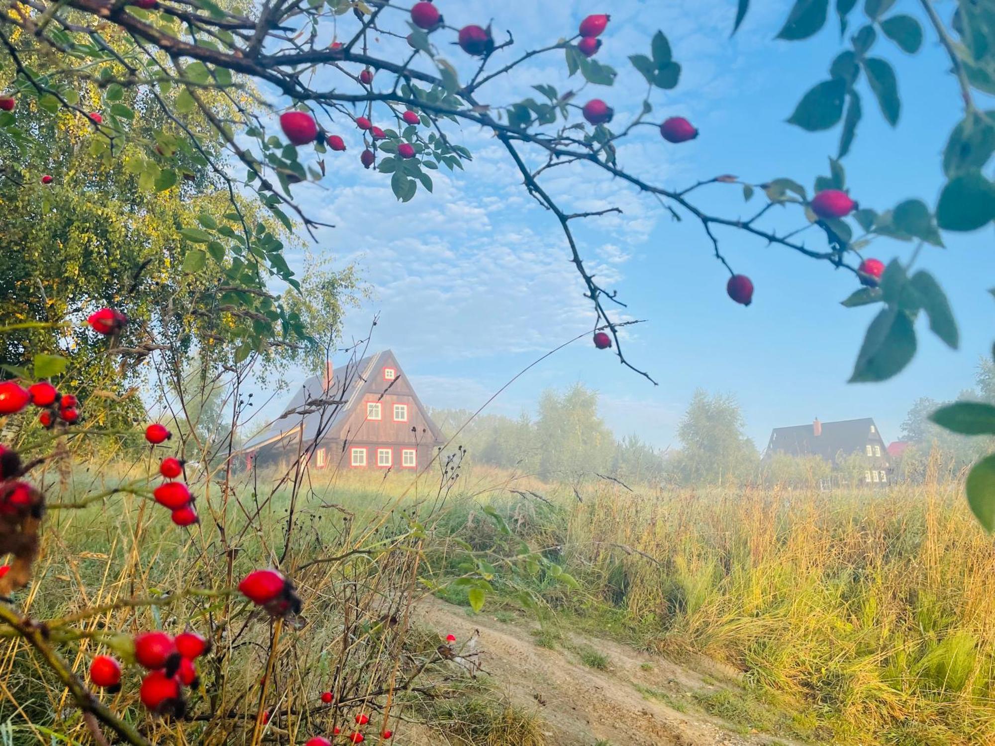 Waliszow Holiday home